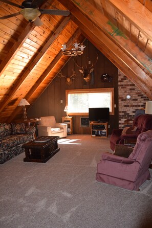 Smart TV, fireplace, DVD player, books