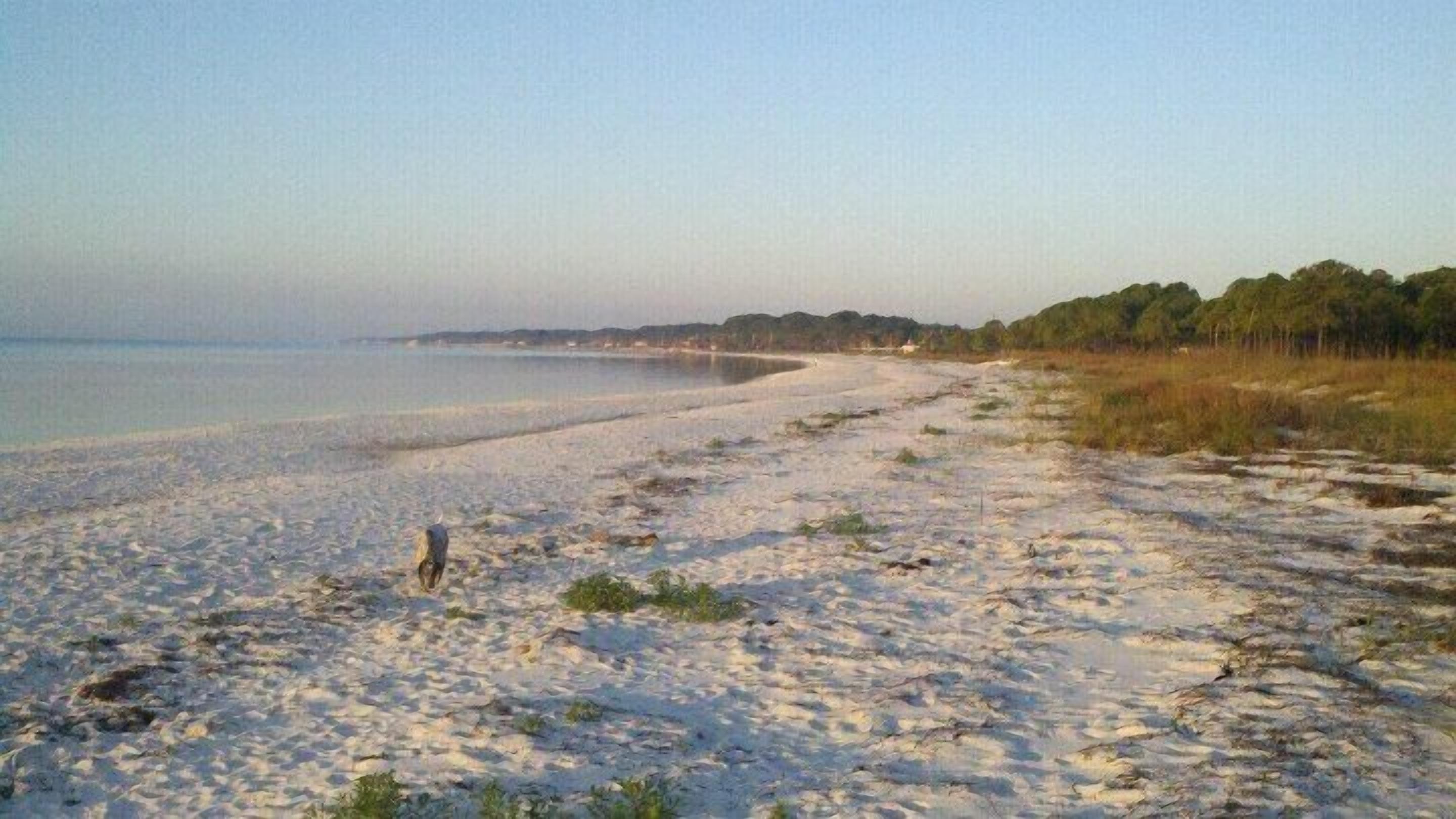 A beach with clear water, sandy shore, and grassy dunes.