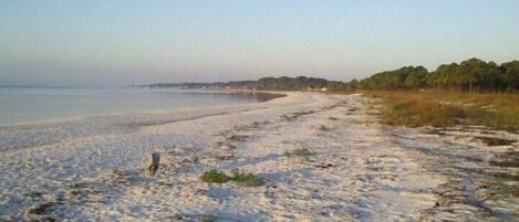 A beach with clear water, sandy shore, and grassy dunes.