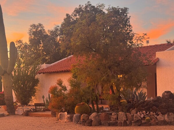 A desert garden with cacti and a building with a red-tiled roof.