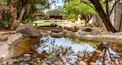 SUMMER SPECIALS - Dynamite property near Troon North, Westworld and Mayo Clinic!