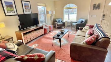 TV connectée, cheminée, lecteur de DVD