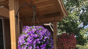 En træpergola med blomsterkasser hængende ned, en støbt trappe og en grussti.