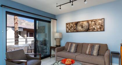 Great one bedroom condo. Walk to downtown Palm Springs!