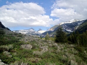 Exterior - Teton View Lodge- Spacious, Peaceful, Stunning View. Hot Tub/Sauna/Steam Shower (Driggs)