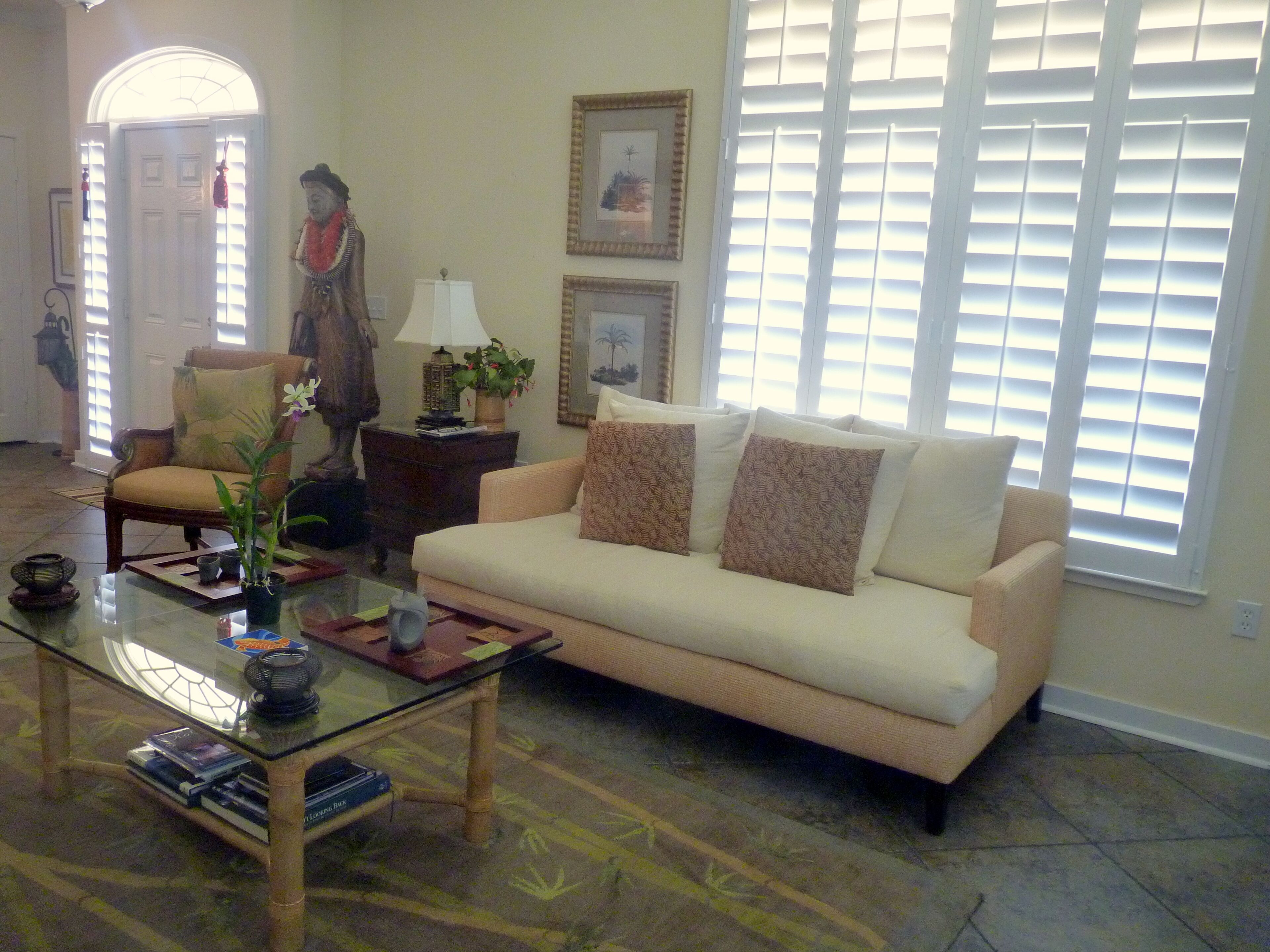 TV, DVD player, books, music library