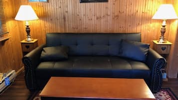 Smart TV, DVD player, books, music library