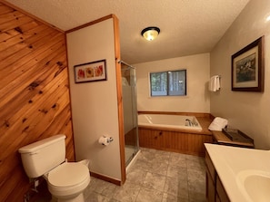 Combined shower/bathtub, jetted bath, hair dryer, towels