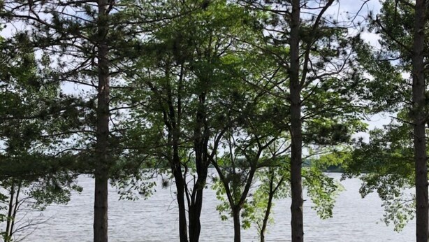 Ein Sitzbereich im Freien mit Adirondack-Stühlen und einem Feuerkorb, umgeben von hohen Bäumen und Blick auf einen See.