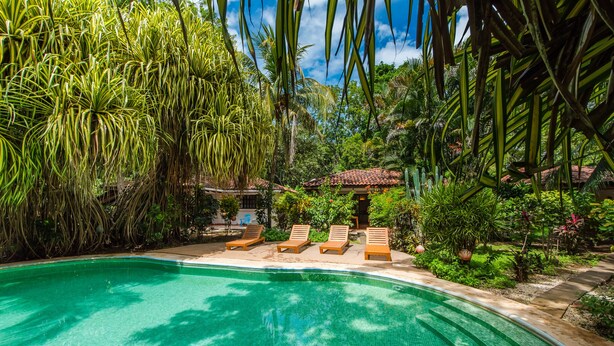 A swimming pool with lounge chairs, surrounded by lush greenery and a tiled roof structure.