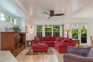 Smart TV, fireplace, DVD player, books