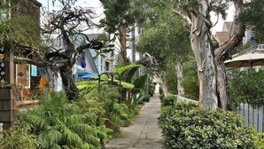 A narrow pathway flanked by lush greenery and trees, leading to a building with a porch. - Charming  2 Bedroom/2 Bath with Fireplace, Beach is 2 min Walk (San Diego)