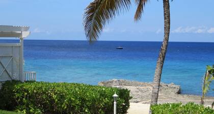 Coconut Bay Cayman Divers Delight