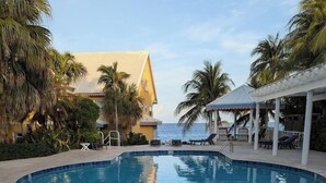 Une piscine avec un jacuzzi au centre, entourée de chaises longues et de palmiers.