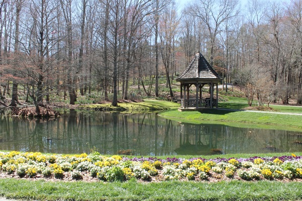Terrain de l’hébergement 