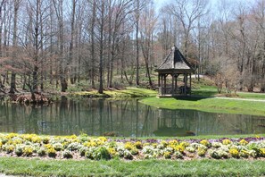 Property grounds - Chalet with Year around Lake & Mountain Views in Big Canoe (Jasper)