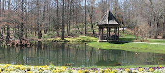 Chalet with Year around Lake & Mountain Views in Big Canoe