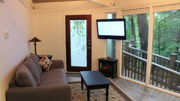 Smart TV, DVD player, video library