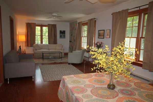 TV, DVD player, video library