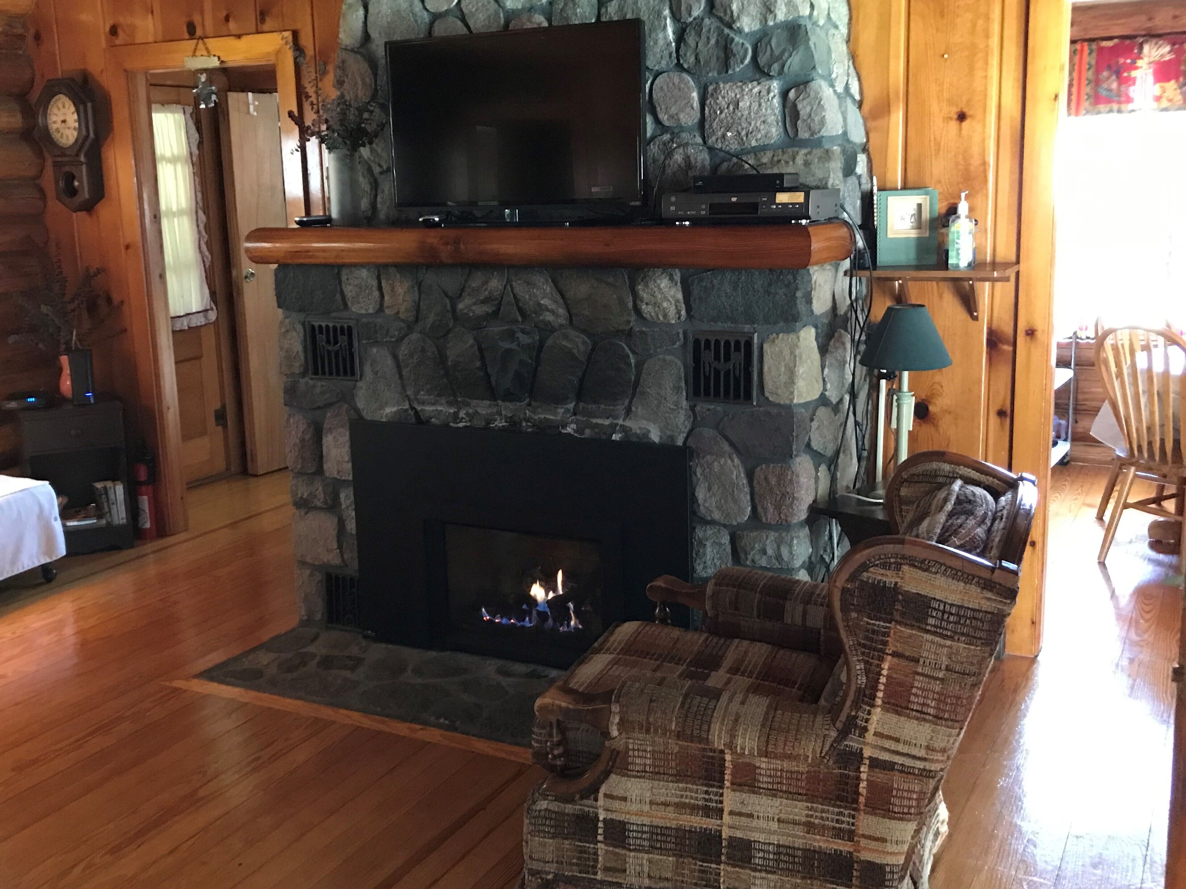 TV connectée, cheminée, lecteur de DVD, livres