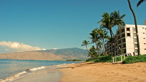 Ein Strand mit Palmen und einem Gebäude mit Balkonen.