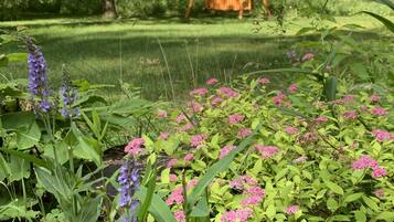 المنطقة المحيطة بالمنشأة