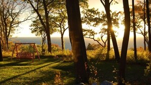 A grassy area with a wooden swing set and trees, overlooking a body of water.