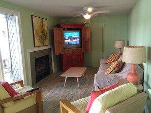 TV, fireplace, DVD player, books