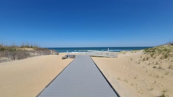Plage à proximité, chaises longues, serviettes de plage