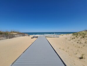 Un sendero bordeando la playa que desemboca en una playa de arena, bajo un cielo azul despejado.