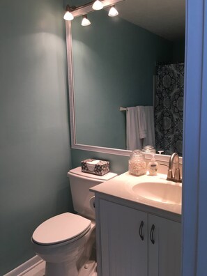 Bathtub, hair dryer, towels, soap