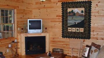 Een televisie, een open haard, een dvd-speler en boeken