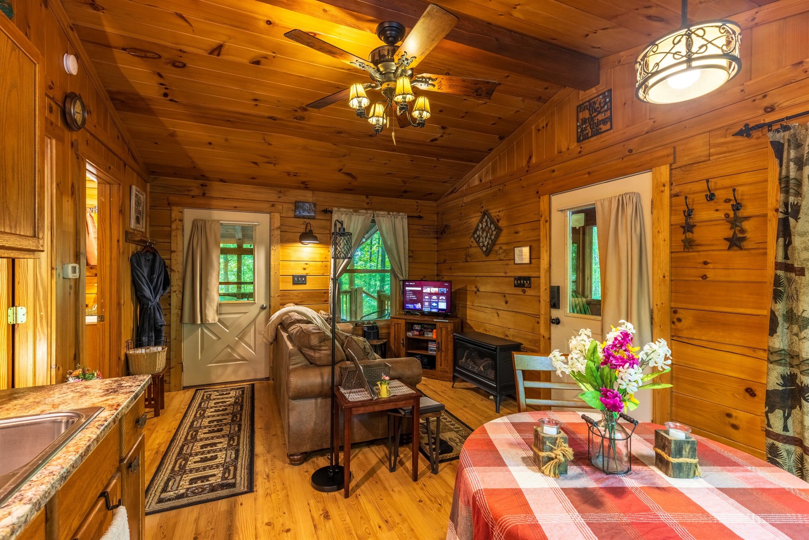 Smart TV, fireplace, DVD player, books