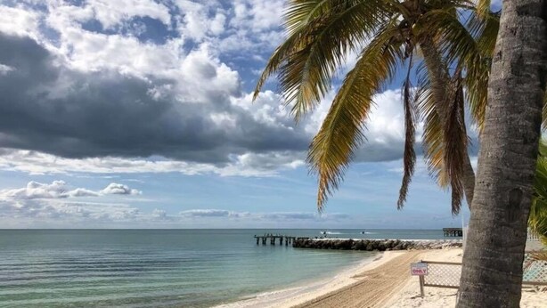 Ein Strand mit einer Palme, einem Steg im Hintergrund und einem 'KEIN PARKEN'-Schild.