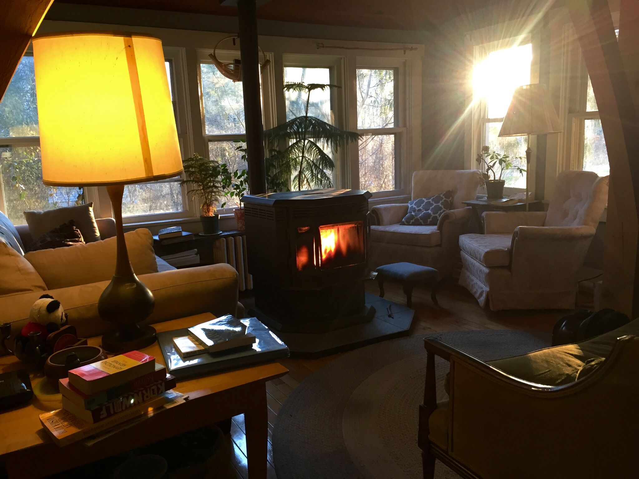 Fireplace great spot to get warm, drink tea, and read a book 