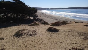 A sandy beach with sparse vegetation and a clear view of the ocean. - Seaside Modern - Easy 3 min Walk to Beach! (Dillon Beach)