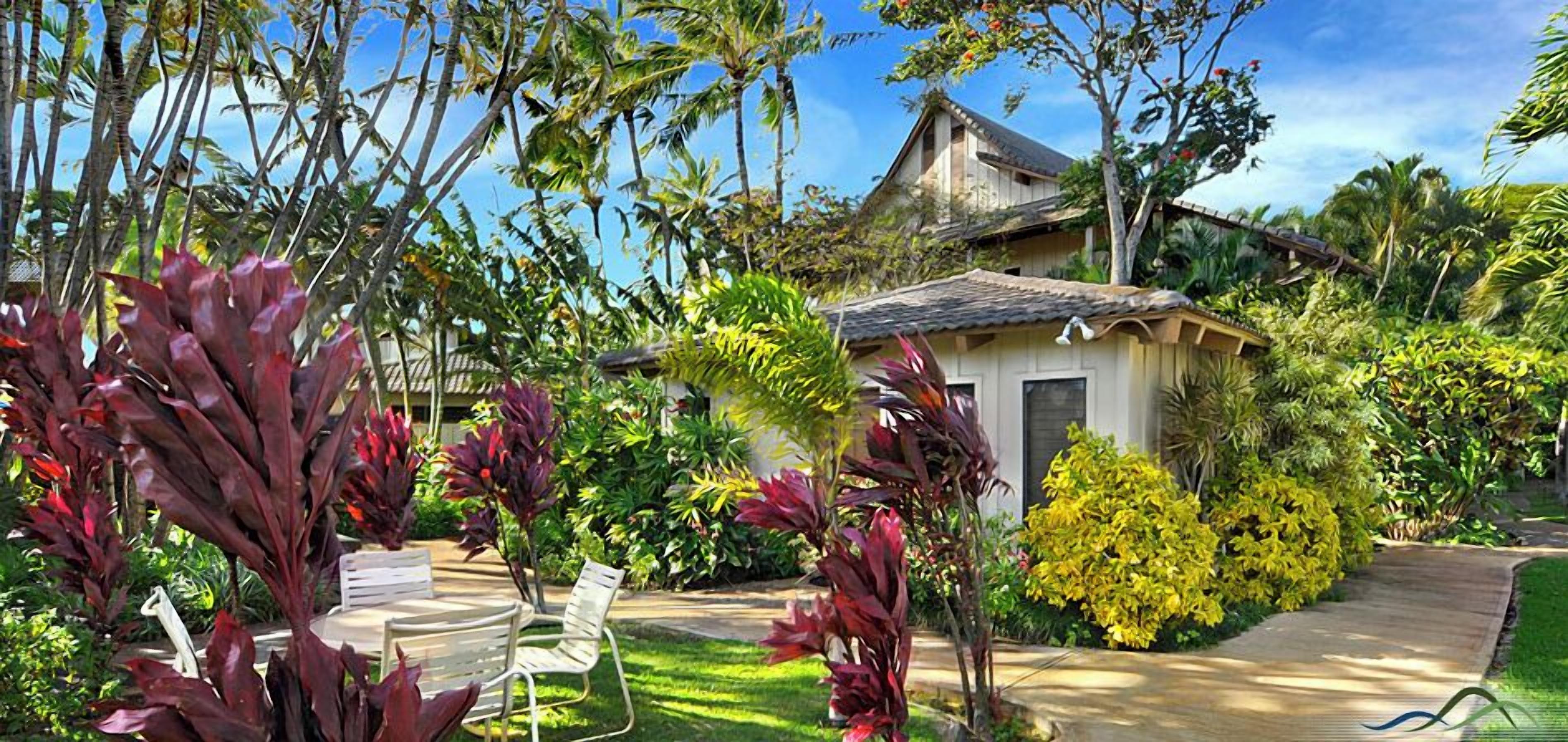 Tropical park, with a stream running through our grounds