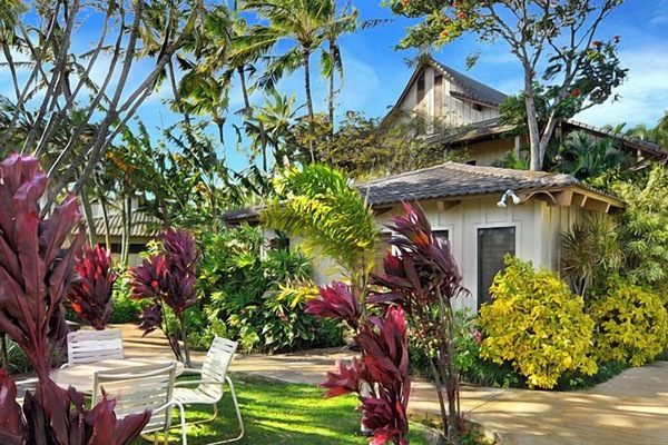Tropical park, with a stream running through our grounds