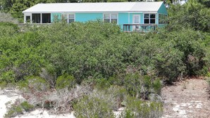 Une maison turquoise avec un toit blanc, entourée d’une végétation luxuriante et d’arbres.