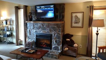 智能电视、壁炉、书