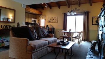 Smart TV, fireplace, books