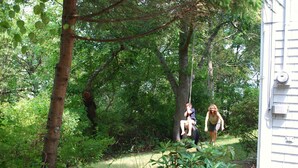 A natural outdoor area with trees and a building. - Direct access to the beach! (Plymouth)