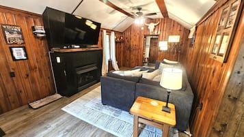 Smart TV, fireplace, books, video library