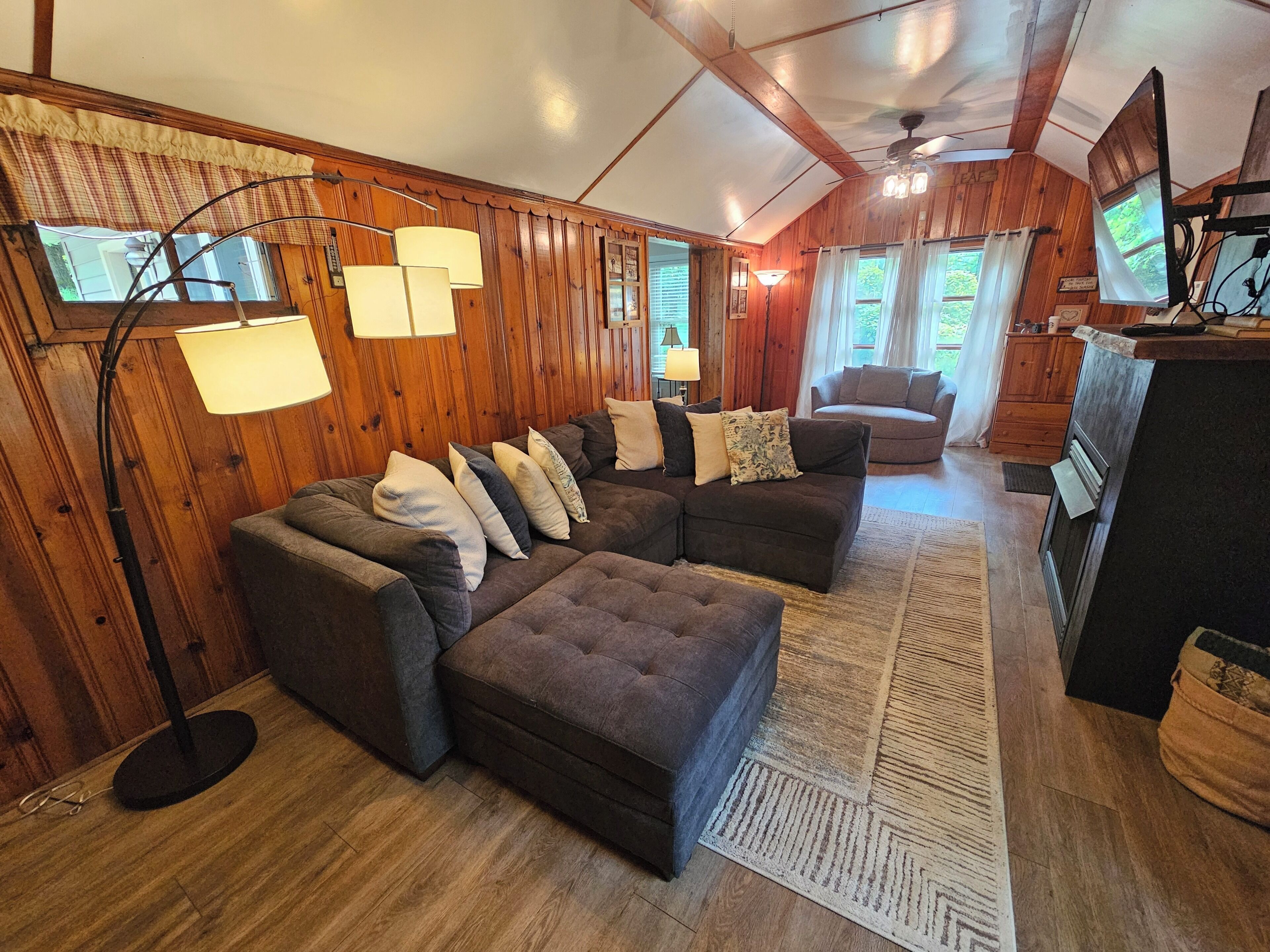 Smart TV, fireplace, books, video library