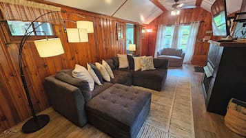 Smart TV, fireplace, books, video library