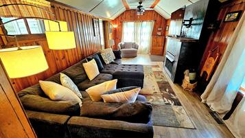 Smart TV, fireplace, books, video library