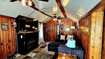 Smart TV, fireplace, books, video library