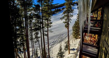 SkiWatch - Only ski down to lifts and back to the door condominium on peak 8