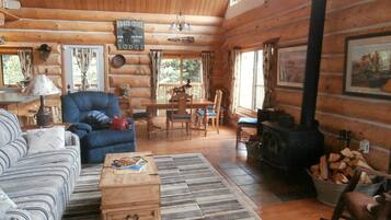 Télévision, cheminée, lecteur de DVD, médiathèque