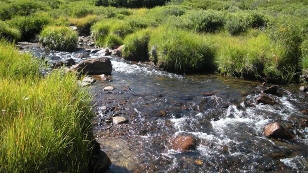 A clear stream flowing through a grassy area with rocks and trees in the background. - Exclusive 23-Acre Rocky Mtn. Retreat - Featured in a Music Video!  Unforgettable (Fairplay)